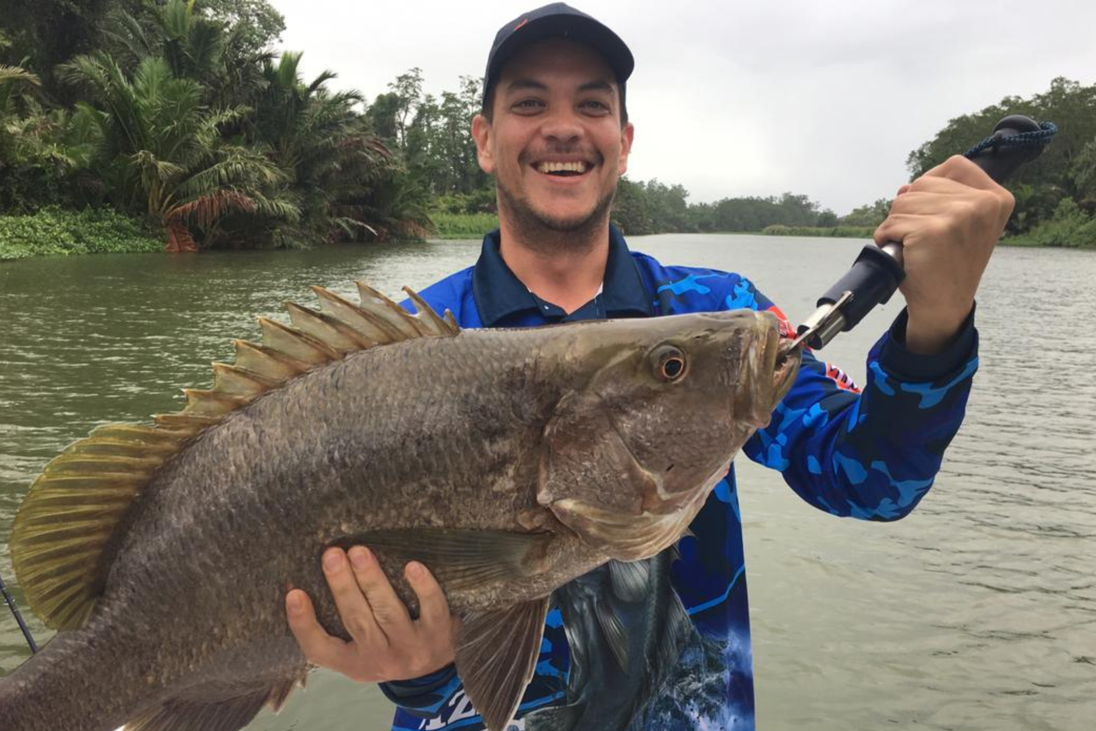 PNG Black Bass