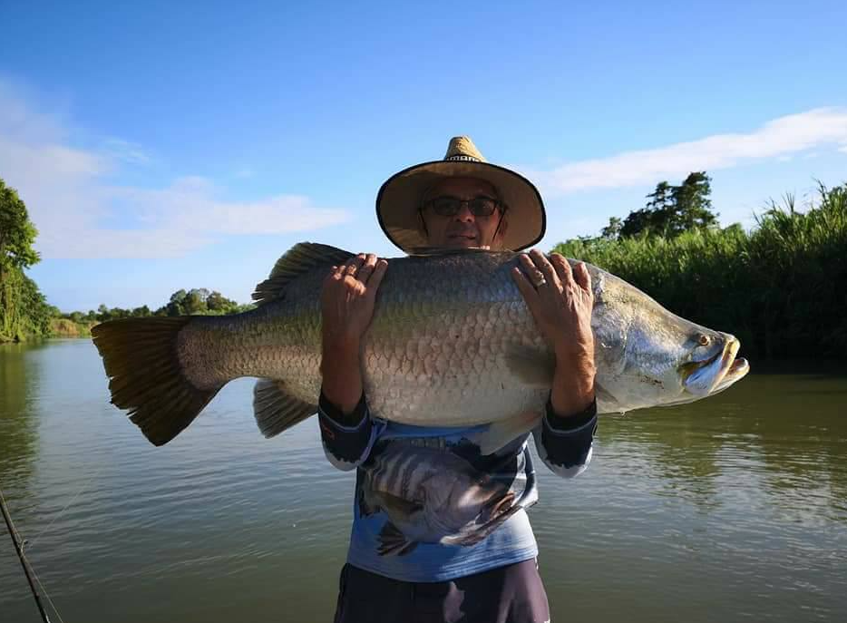 Barramundi